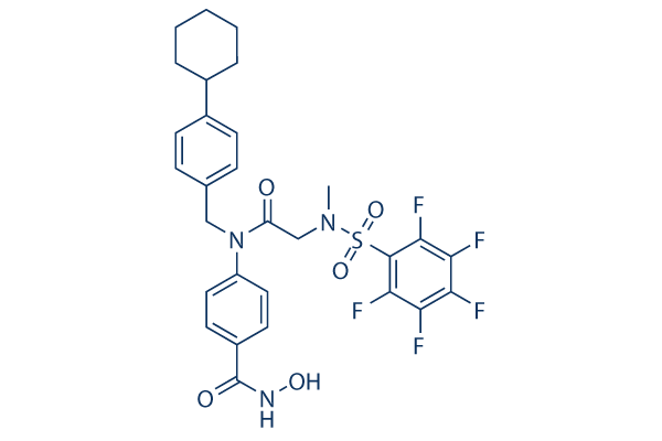 SH5-07 Structure